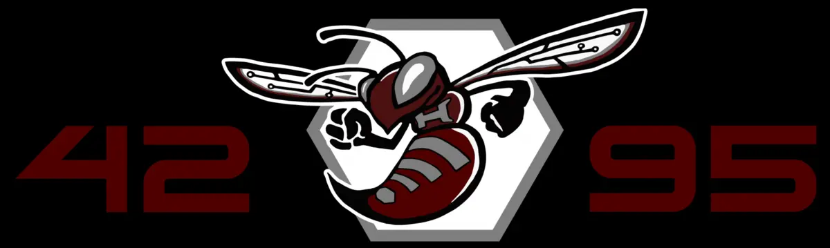 Hudson Stingers Banner